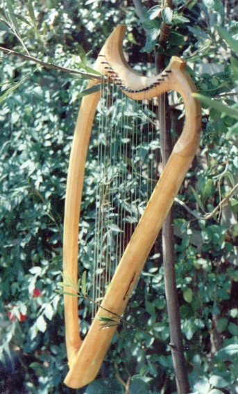 gothic harp 2
