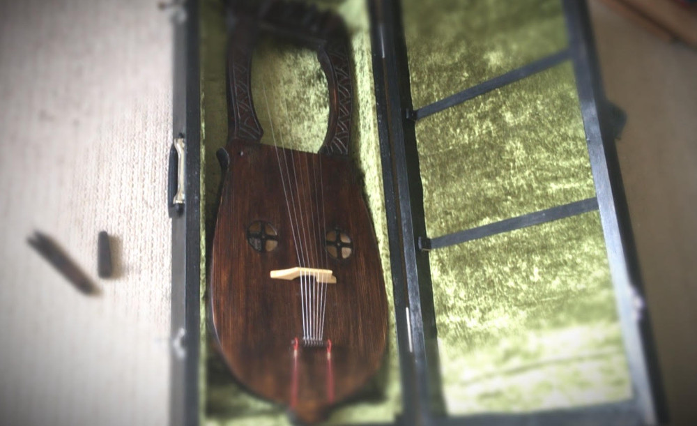 lyre in green lined case