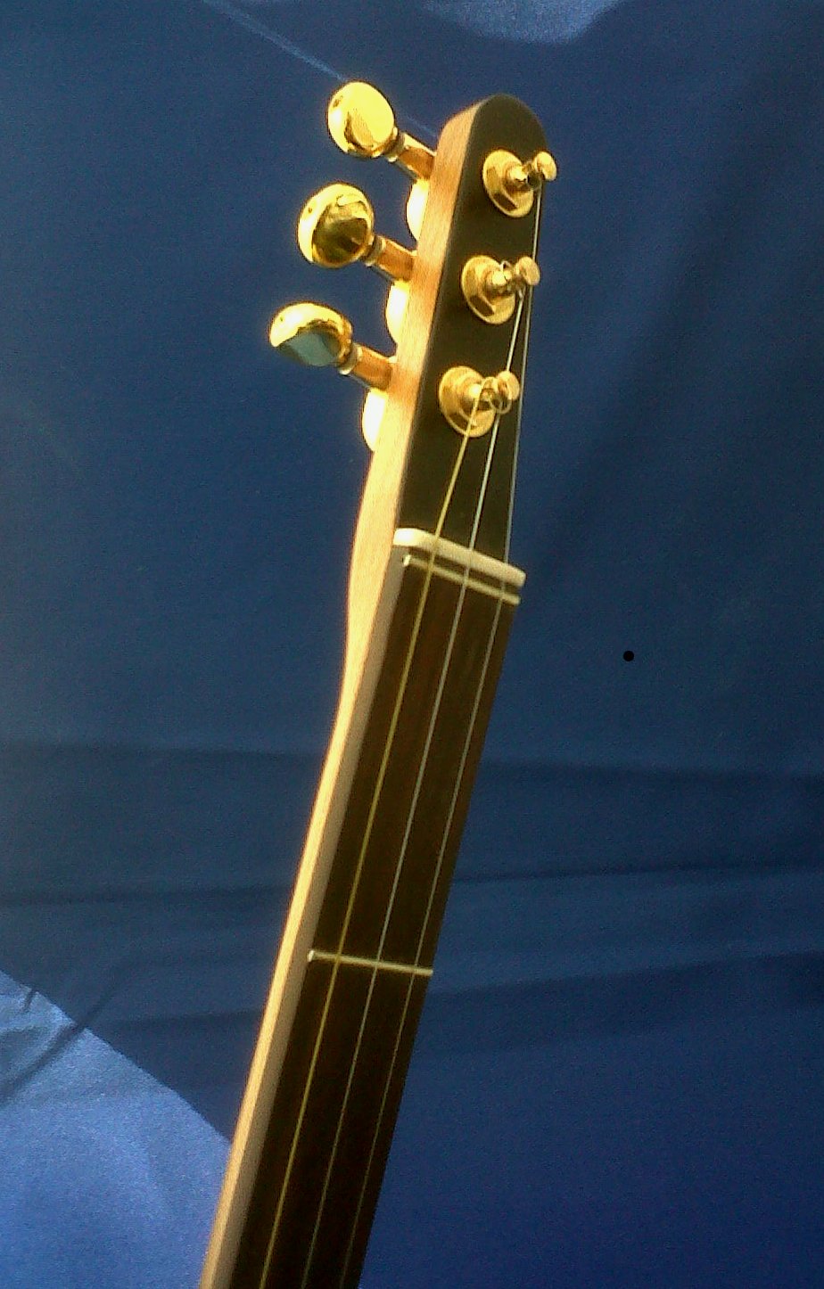 stick dulcimer
head with zero fret