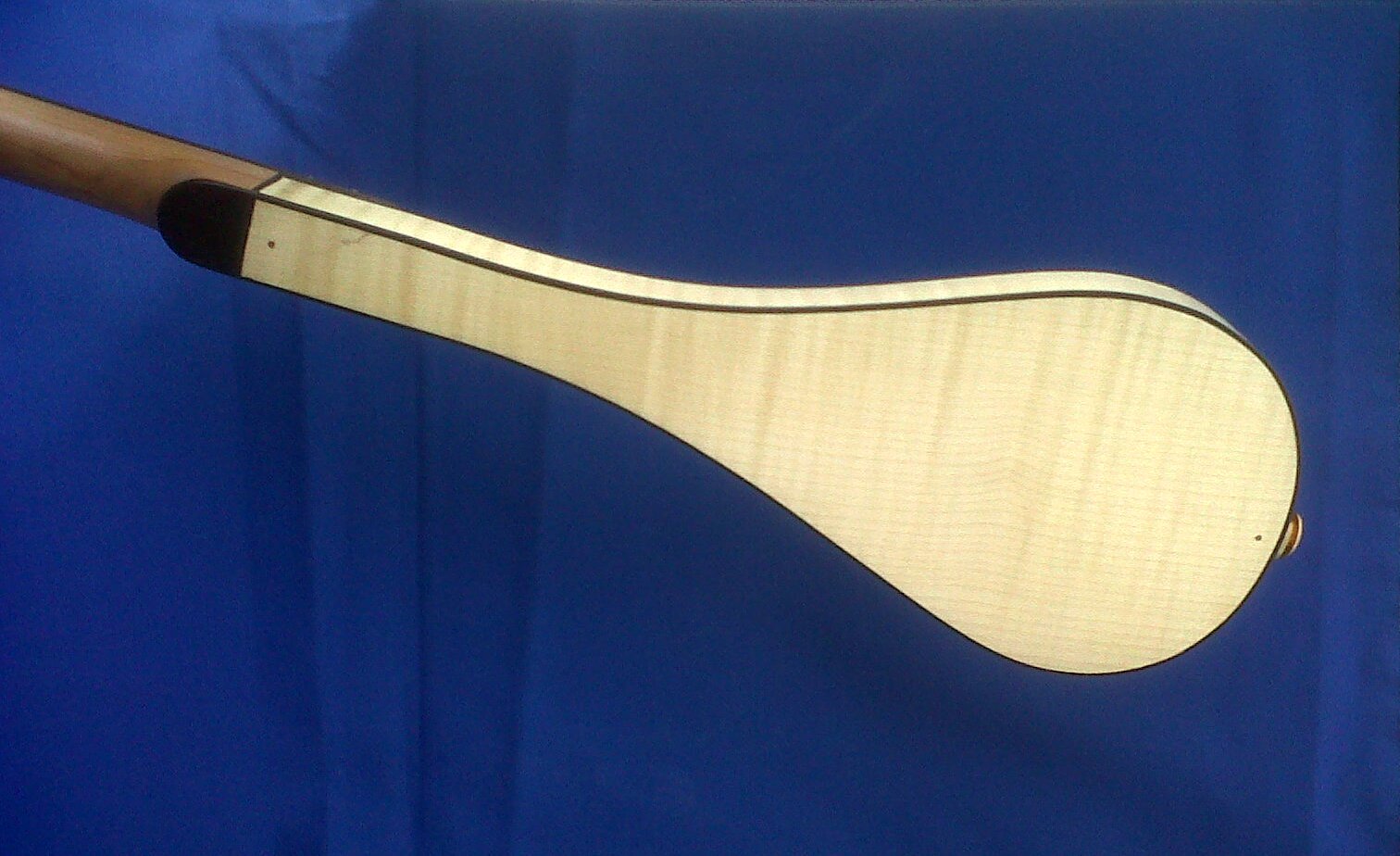 back