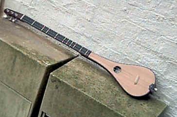 stick dulcimer photo